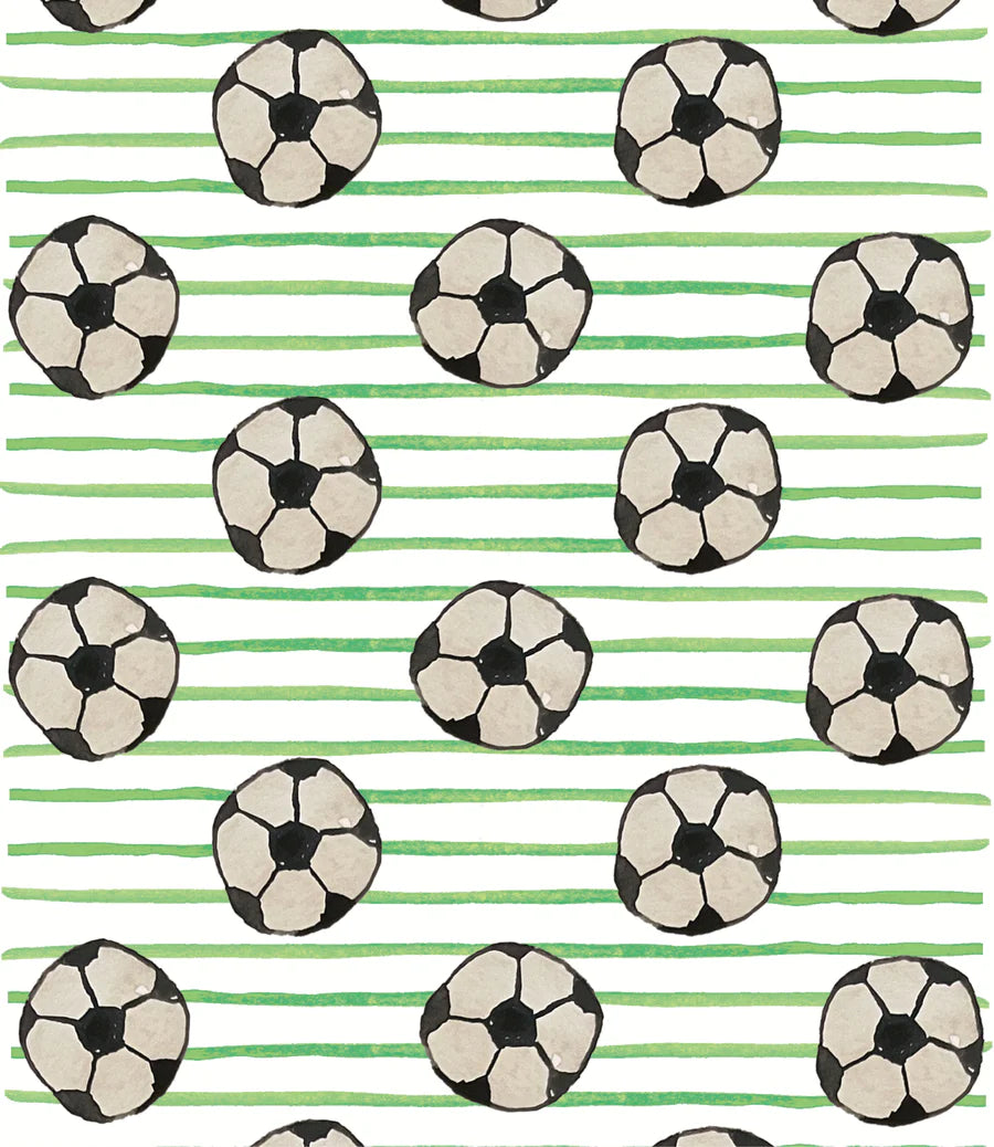Soccer Minky blanket