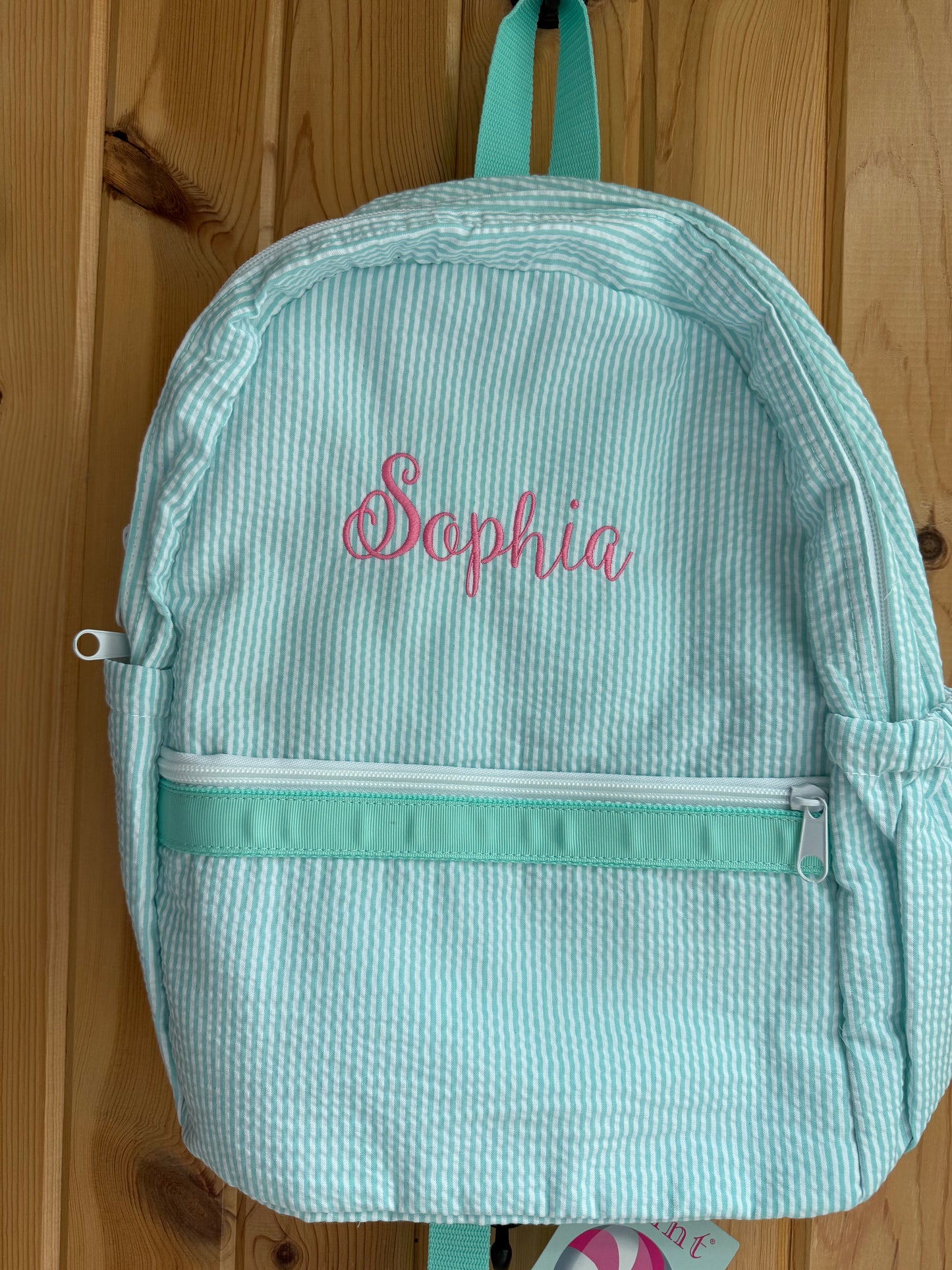 Medium Mint Backpack