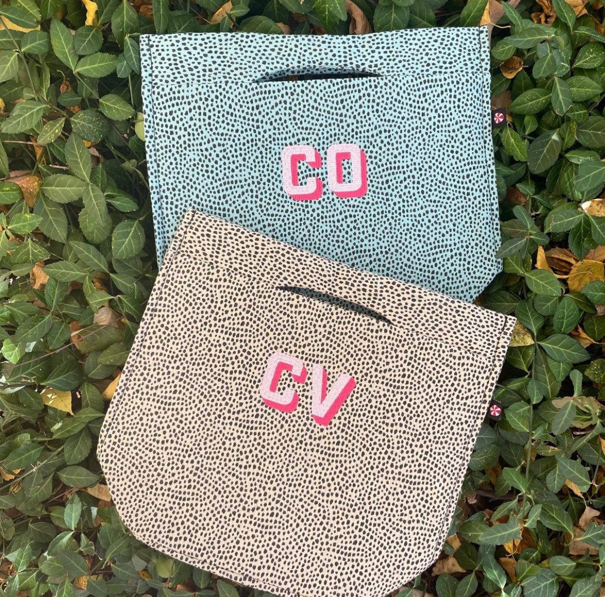 Lunch Tote